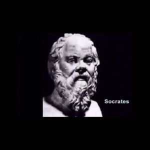 Meet your Posher, Kiki